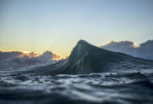 Photo of Захватывающие дух «морские горы» Рэя Коллинза (20 фото)