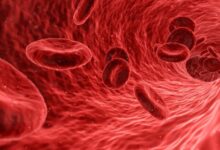 Photo of Почему кровь красная: разгадка тайны естественного цвета жизни