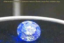 Photo of Китайские учёные заявили о создании первого в мире бриллианта из… красных пионов (фото + видео)