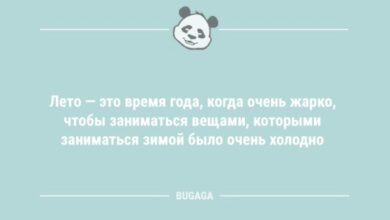 Photo of Анекдоты в середине недели: «Лето — это время года, когда…» (11 фото)