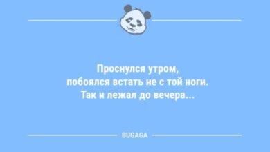 Photo of Анекдоты в пятницу: «Проснулся утром, побоялся встать не с той ноги…» (9 фото)