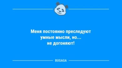 Photo of Смешные анекдоты в конце недели: «Меня постоянно преследуют умные мысли…» (10 фото)